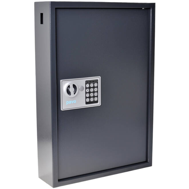 Sleutelkast Pavo high security 100 haken 550x400x120mm