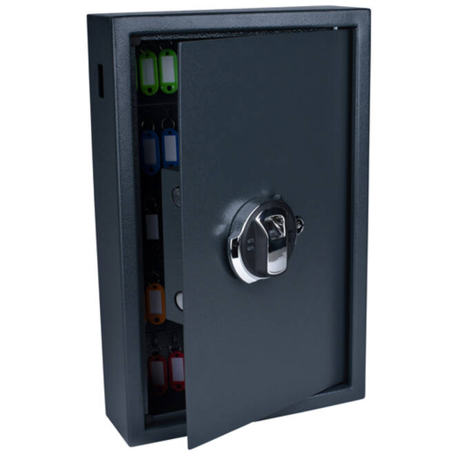 Sleutelkast Pavo high security met fingerprintslot 50 haken 550x400x100mm