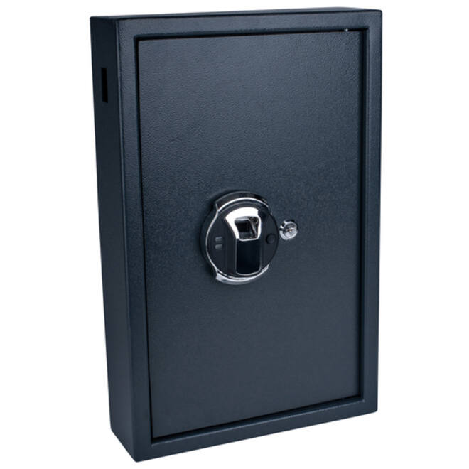 Sleutelkast Pavo high security met fingerprintslot 50 haken 550x400x100mm