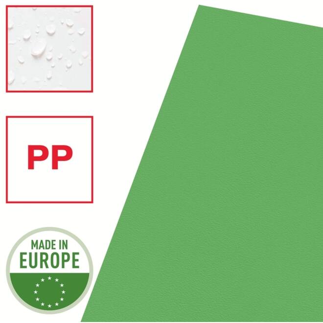 Insteekmap L-model Esselte standaard A4 0.11mm PP groen 100 stuks