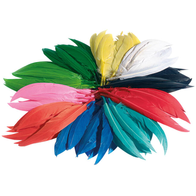 Indianen veren Folia assorti