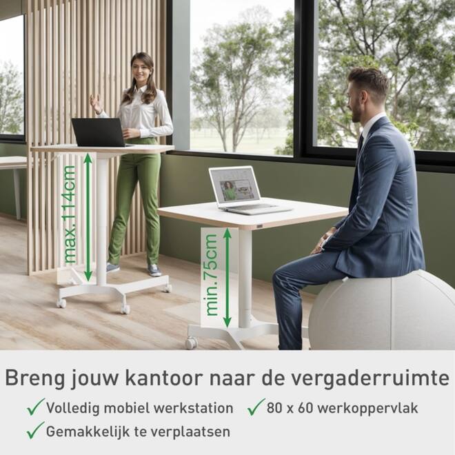 Zit-Sta bureau Leitz Ergo compact