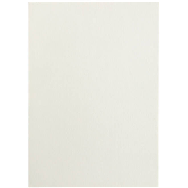 Kopieerpapier Papicolor A4 100gr 12vel anjerwit