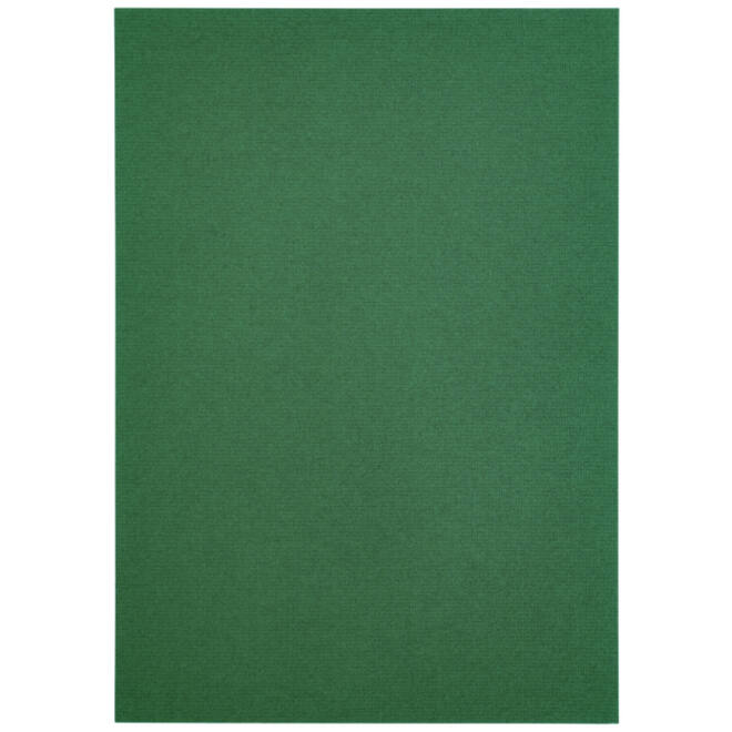 Kopieerpapier Papicolor A4 100gr 12vel dennengroen