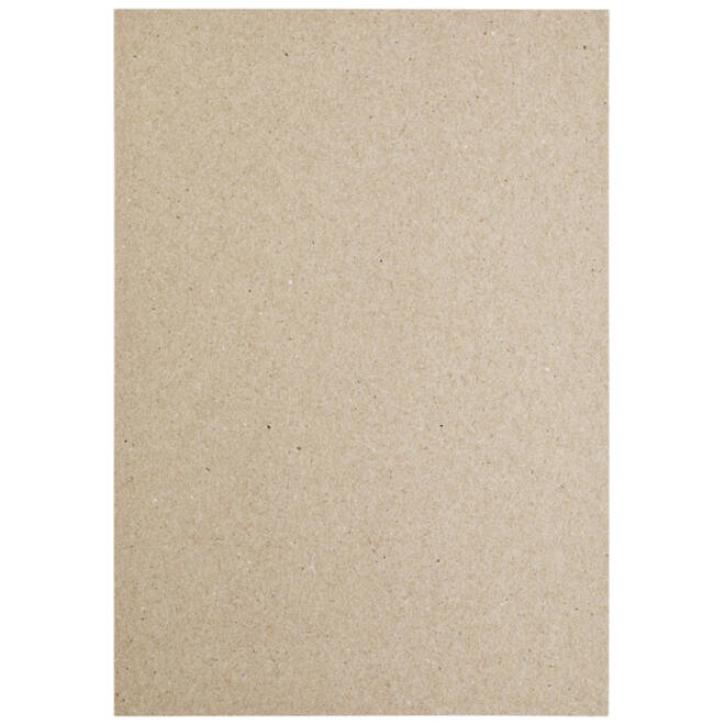 Kopieerpapier Papicolor A4 220gr 6vel kraft grijs