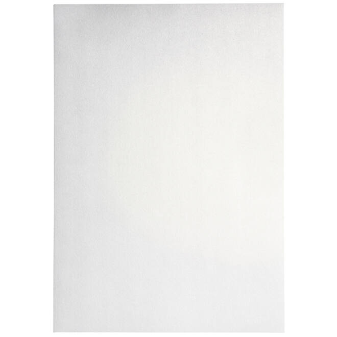 Kopieerpapier Papicolor A4 120gr 6vel metallic parelwit