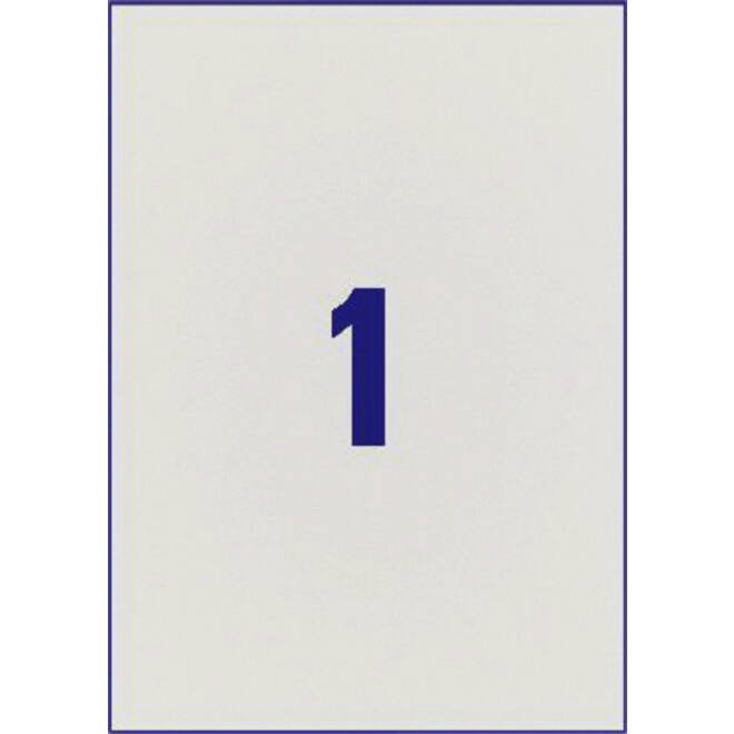 Etiket Avery L6013-20 210x297mm zilver 20stuks