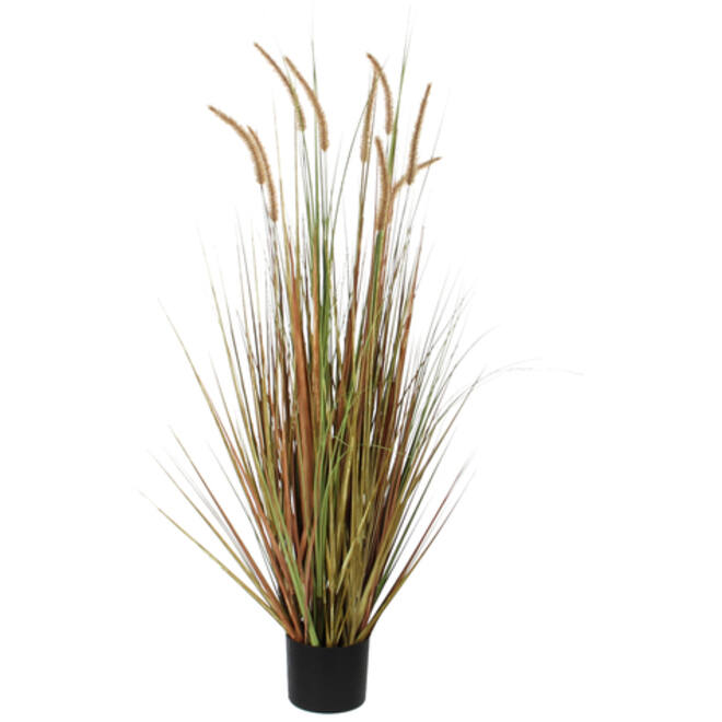 Kunst Pluimgras Dogtail 120cm groen