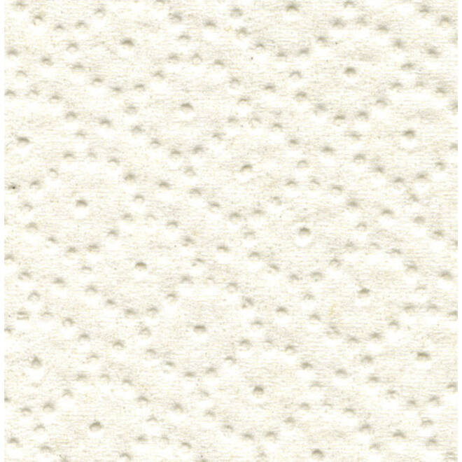 Poetspapier Satino Comfort CR1 2-laags 350m wit 305290