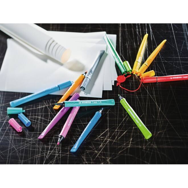 Viltstift STABILO Cappi 168/12 Arty medium assorti etui à 12 stuks