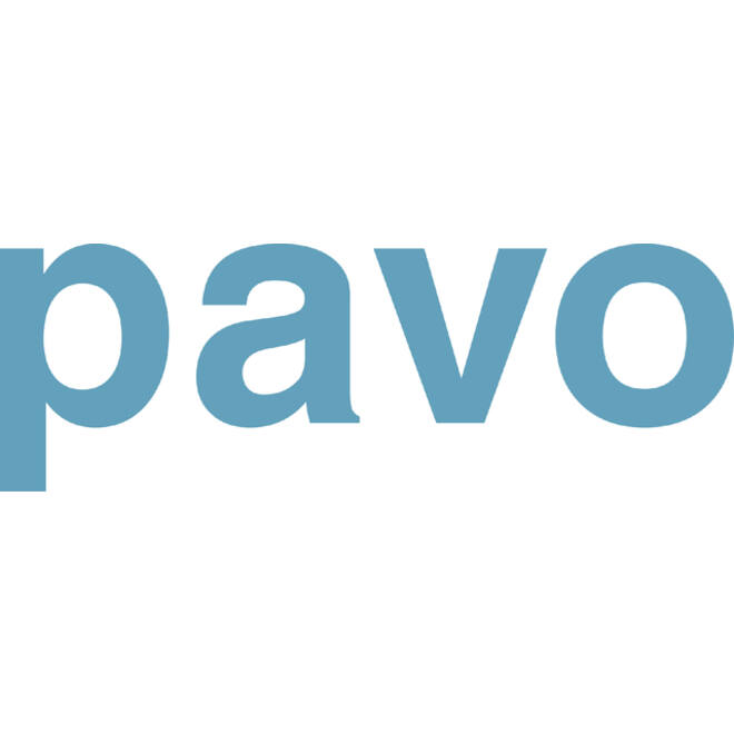 Ladder Pavo telescoop 12 treden 3,8m