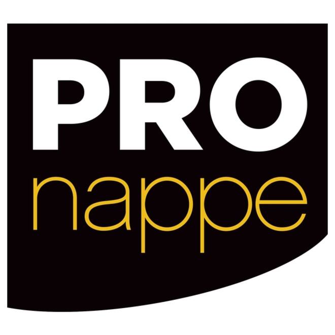 Servet Pronappe 1/4 vouw 2-laags 380x380mm 40 vel bordeauxrood