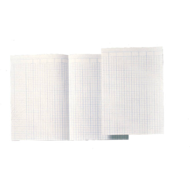 Accountantspapier Djois Atlanta A4 14 kolommen 100vel