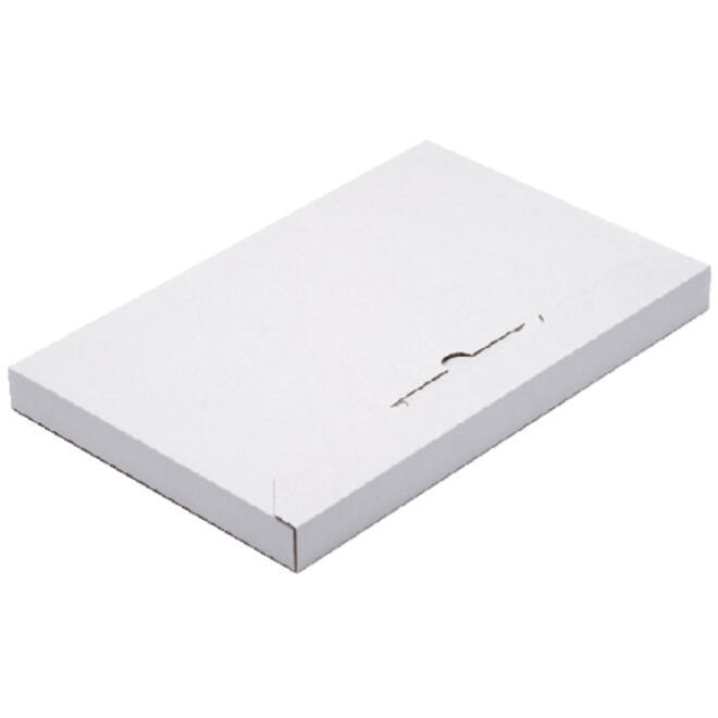 Brievenbusbox CleverPack A4 350x230x26mm karton wit pak à 5 stuks