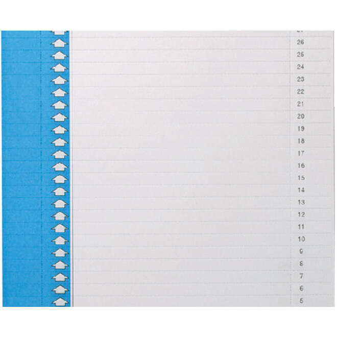 Ruiterstrook Elba Nr 0 297x6mm verticaal blauw
