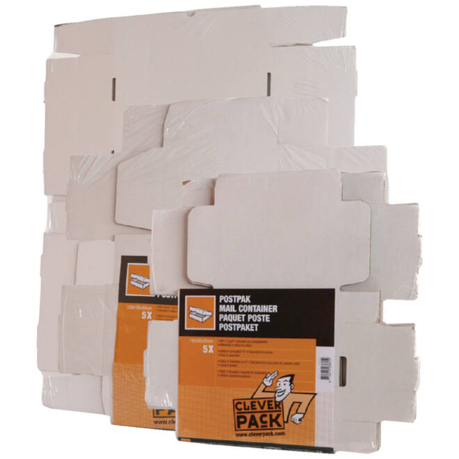 Postpakket CleverPack golfkarton 220x160x90mm wit pak à 25 stuks