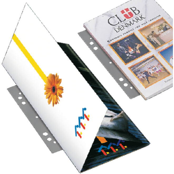 Opbergstrip Djois filestrip A4 295mm 2/4rings transparant 100 stuks