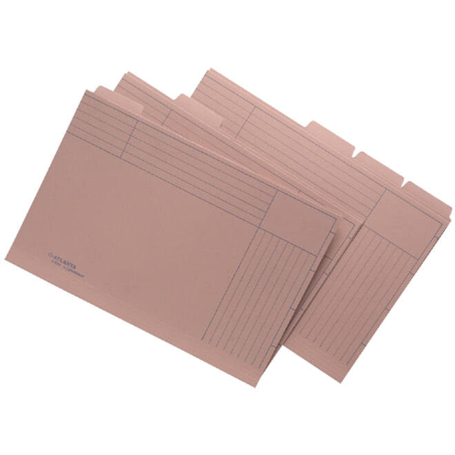 Sorteermap Jalema folio 5 vakken met tabs 300gr chamois