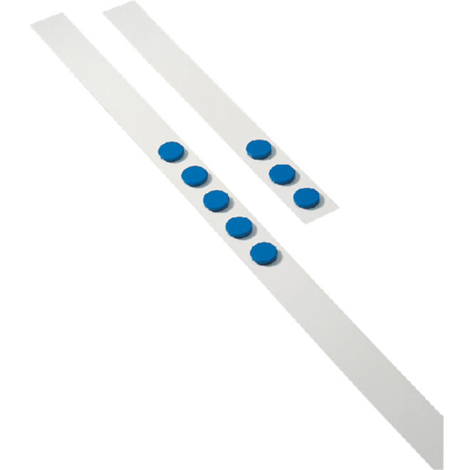 Wandlijst Desq 100cm met 5 blauwe magneten 32mm