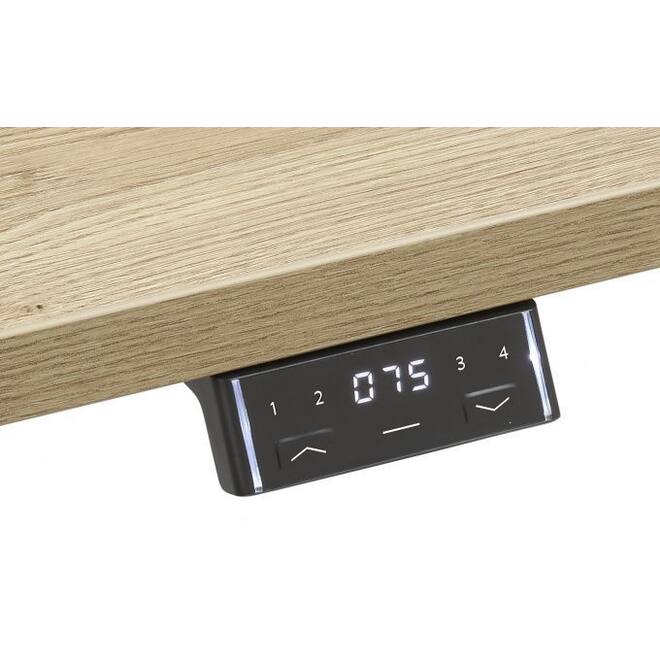 Flex 3+ Wang Bench