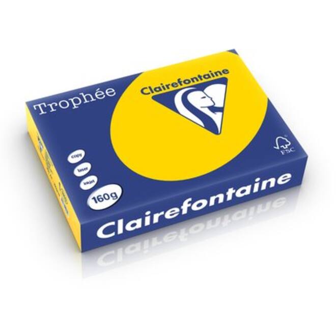 Kopieerpapier Clairefontaine Trophee 80gr goudgeel A4