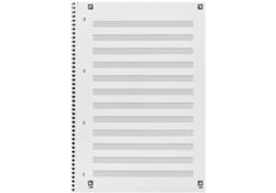 Collegeblok Oxford A4+ muziek 4-gaats 100 pagina's 80gr blauw