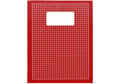 Schrift Qbasic 210x165mm ruit 5mm 80blz 70gr assorti