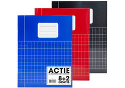 Schrift Verhaak Basic A5 ruit 10x10mm 80 pagina's 60gr assorti