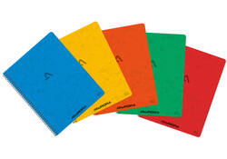 Schrift Aurora 210x165mm ruit 5x5mm 120 pagina's 80gr assorti