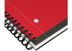 Spiraalblok Oxford International Activebook A4+ ruit 5mm