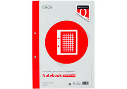 Cursusblok Quantore A4 ruit 5mm 100vel 80gram met kantlijn+