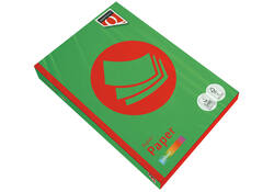 Kopieerpapier Quantore Colour A4 80gr grasgroen 500 vel