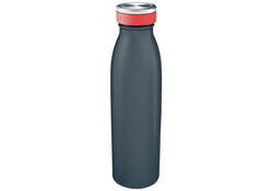 Drinkfles Leitz Cosy geïsoleerd fluweel grijs 500ml