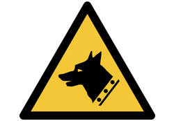 Pictogram bordje Djois Waarschuwing: waakhond 200 x 176 mm Geel