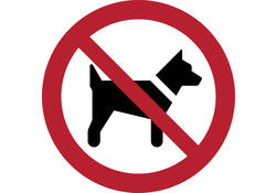 Pictogram bordje Djois Honden niet toegestaan Ø 200 mm Rood