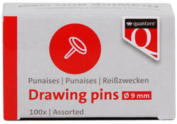 Punaises Quantore 100 stuks assorti