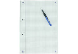 Cursusblok Oxford School A4 ruit 5x5mm 2-gaats 200 pagina's 80gr assorti