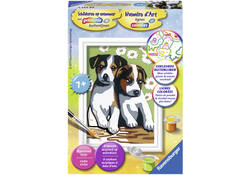 Schilderen op nummer Ravensburger Schattige puppies
