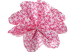 Vouwblaadjes Folia 80gr 15x15cm 50 vel 2-zijdig 10 tropical designs