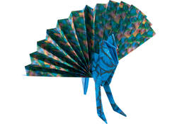 Vouwblaadjes Folia 80gr 15x15cm 50 vel 2-zijdig 10 wildlife designs