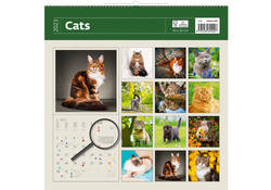 Kalender 2027 Helma 365 30x30cm katten