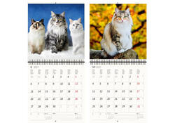 Kalender 2027 Helma 365 30x30cm katten