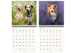 Kalender 2027 Helma 365 30x30cm honden