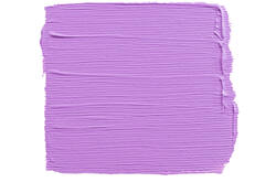 Acrylverf Talens Art Creation 579 pastelviolet tube à 75ml