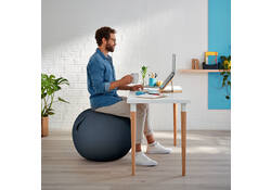Actieve zitbal Leitz Ergo Cosy grijs