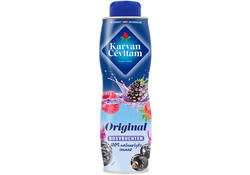 Siroop Karvan Cevitam bosvruchten 600ml