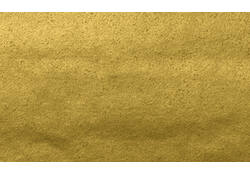 Zijdevloeipapier Folia 50x70cm 20gr nr65 goud 5 vel