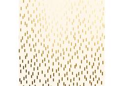 Apparaatrol Special Wrap 100mx30cm crème met goud