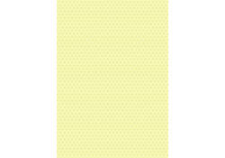 Inpakpapier Stewo Fresh Patterns 200x70cm assorti