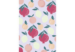 Inpakpapier Stewo Fresh Patterns 200x70cm assorti